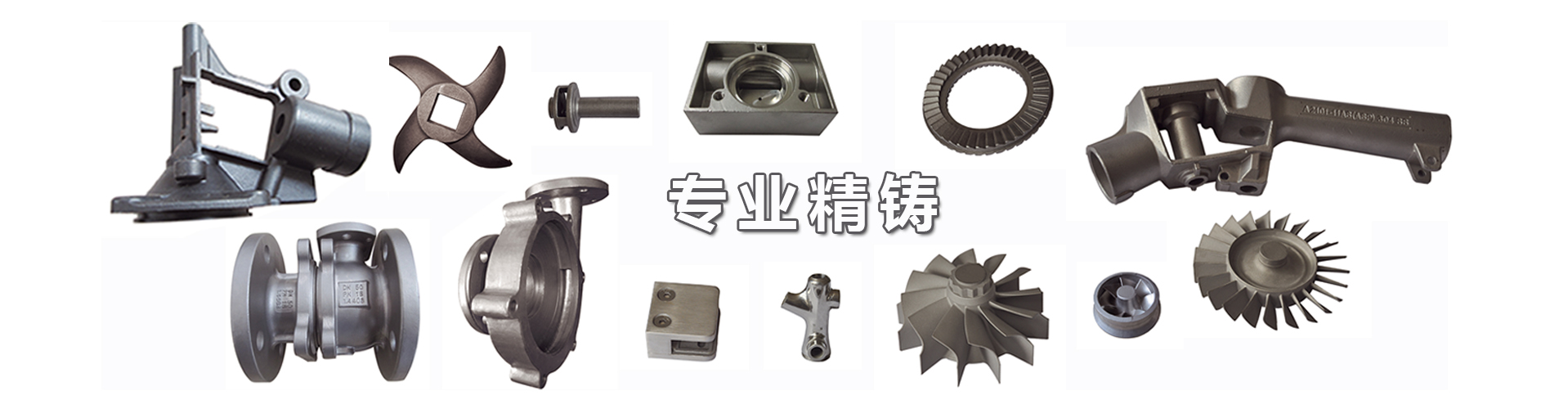 网站建设专家